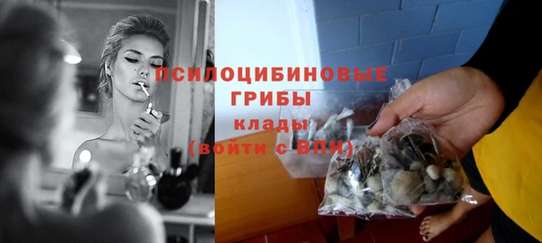 гидропоника Кукмор