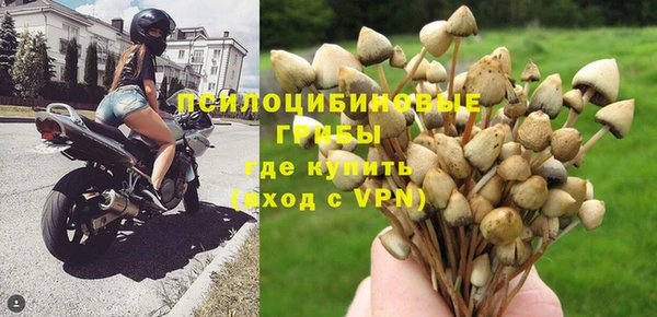 прущие грибы Кулебаки