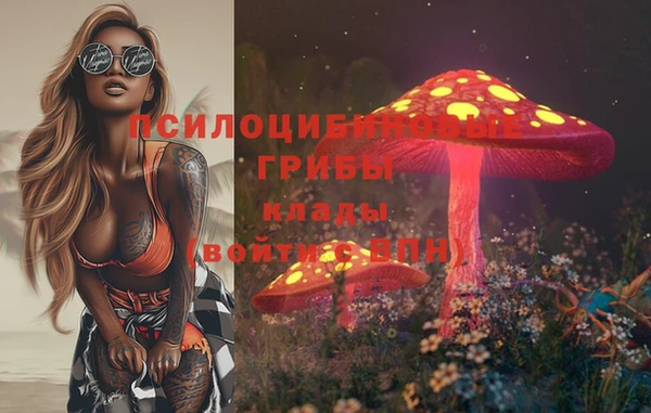 прущие грибы Кулебаки