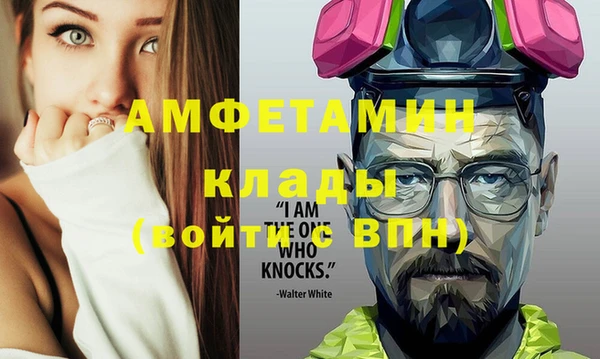 прущие грибы Кулебаки