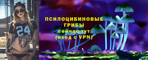 прущие грибы Кулебаки