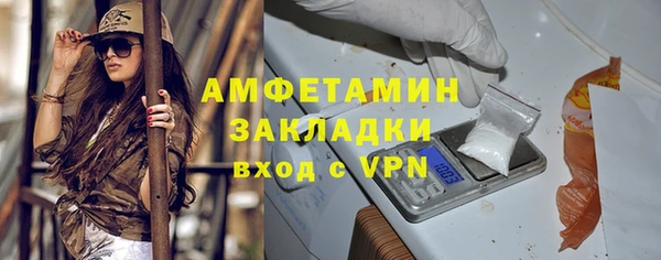 прущие грибы Кулебаки