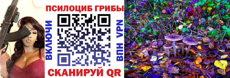 Псилоцибиновые грибы Psilocybine cubensis  Называевск 